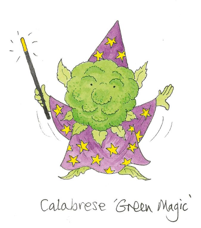 Calabrese, 'Green Magic', F1 Hybrid