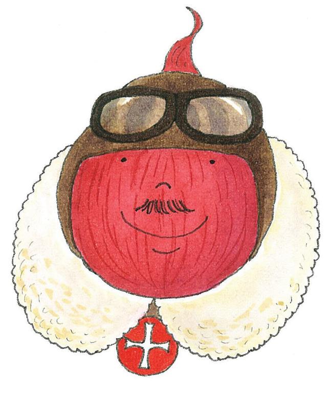 Onion, Maincrop, 'Red Baron'