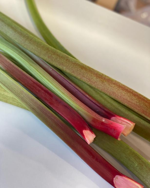 Rhubarb, 'Victoria'