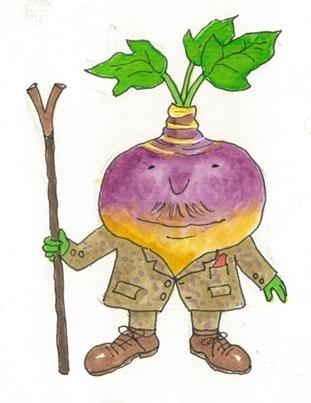 Swede, 'Tweed', F1 Hybrid