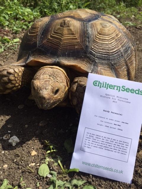 Mixture For Tortoises