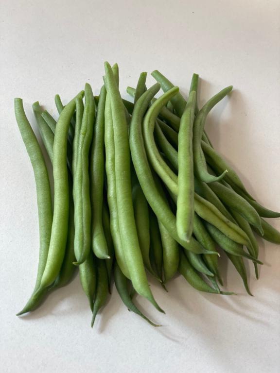 Bean, Other Hungarian Rice Bean, 'Duchesse de Chambord'