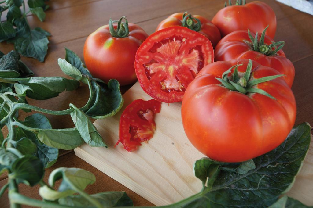 Tomato, Beef, 'Country Taste', F1 Hybrid
