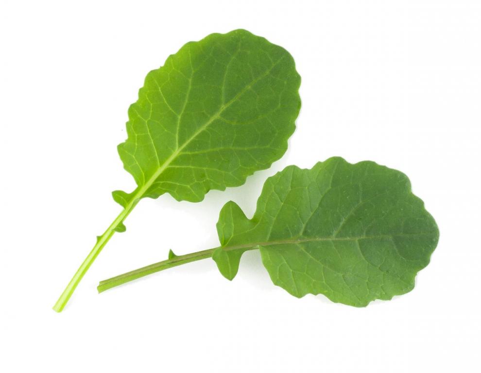 Texsel Greens, 'Garlic Kale'