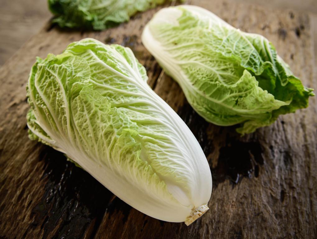 Chinese Cabbage 'Yuki', F1 Hybrid