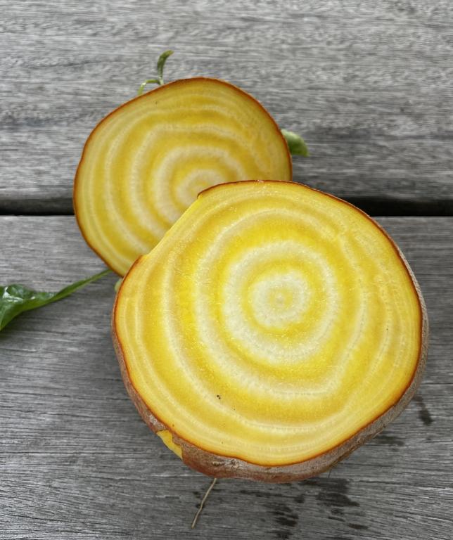 Beetroot, 'Boldor', F1 Hybrid