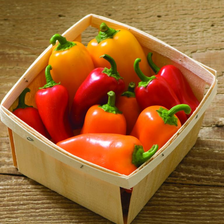 Capsicum, Sweet Pepper, 'Lunchbox Mix'