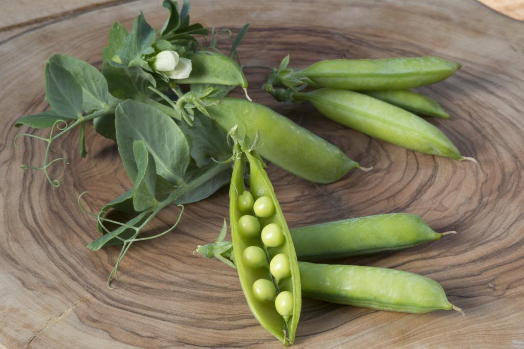 Pea, 'Half Pint'
