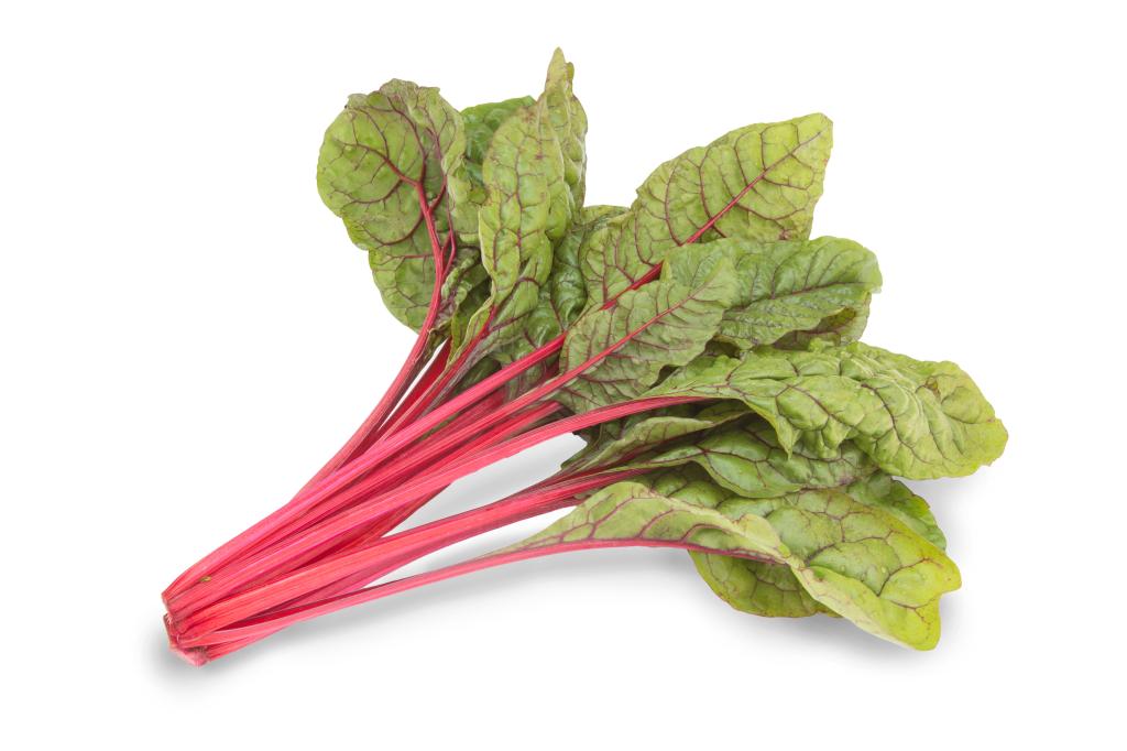 Chard, Swiss, 'Intense'