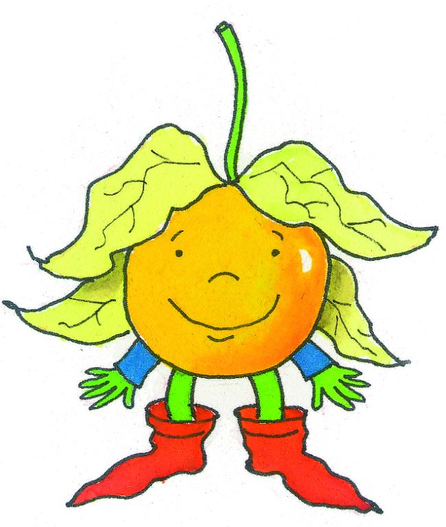 Cape Gooseberry (or Physalis), 'Dwarf'