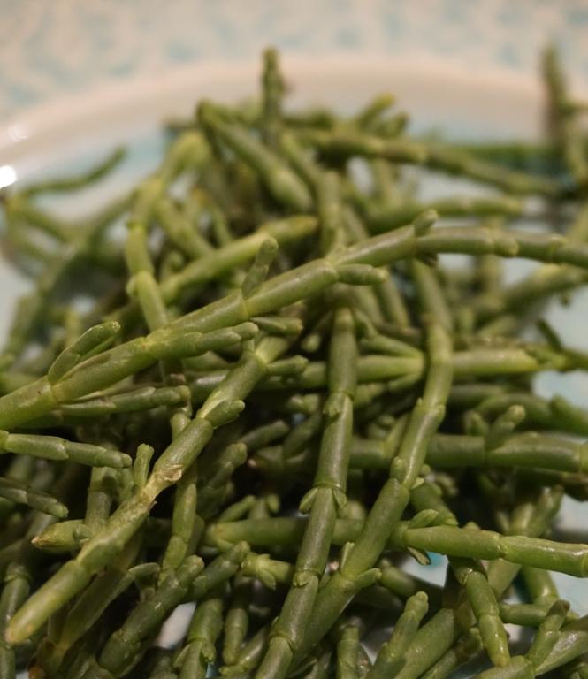 Samphire