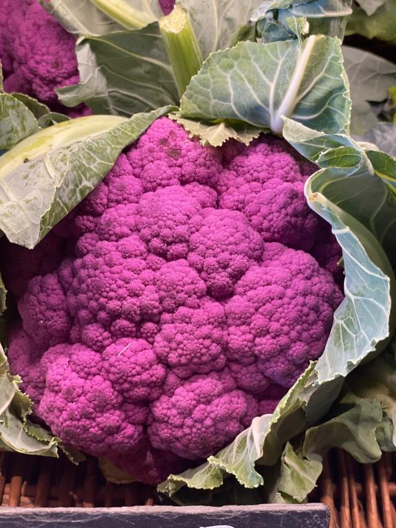 Cauliflower, 'Di Sicilia Violetto'