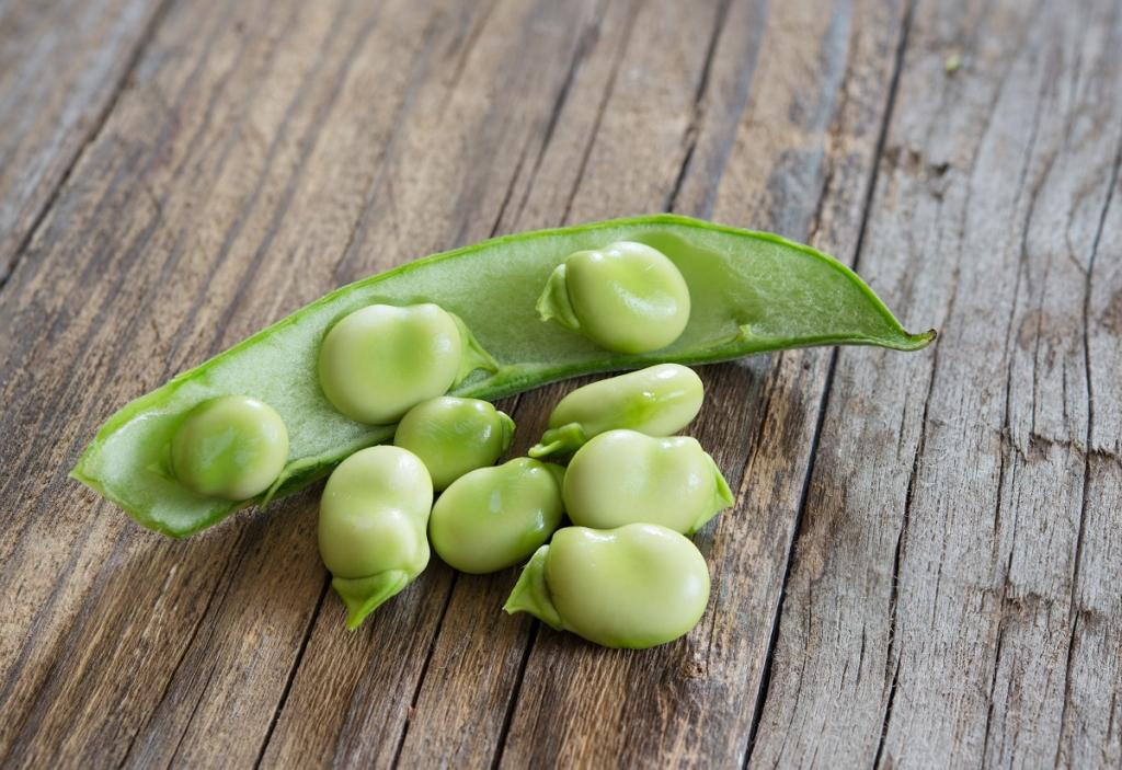 Bean, Broad, 'Aquadulce Claudia'