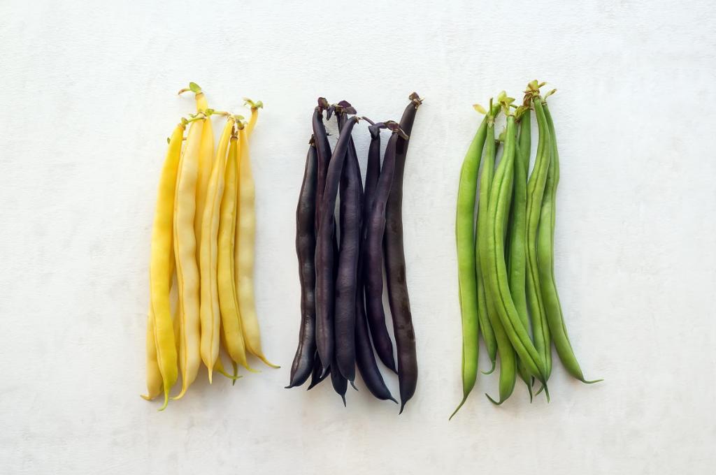 Bean, Dwarf French, 'Too Good to Pick' Colour Mix