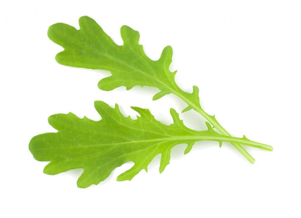 Mustard, 'Green Frills'
