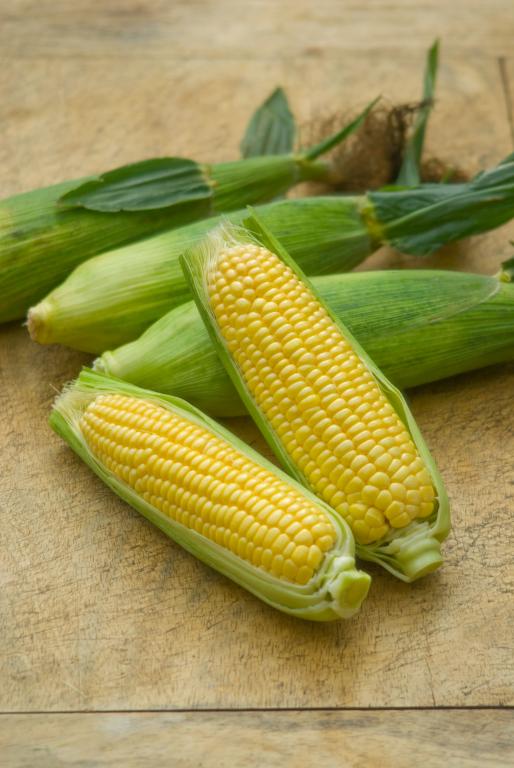 Sweetcorn, 'Mirai Picnic', F1 Hybrid