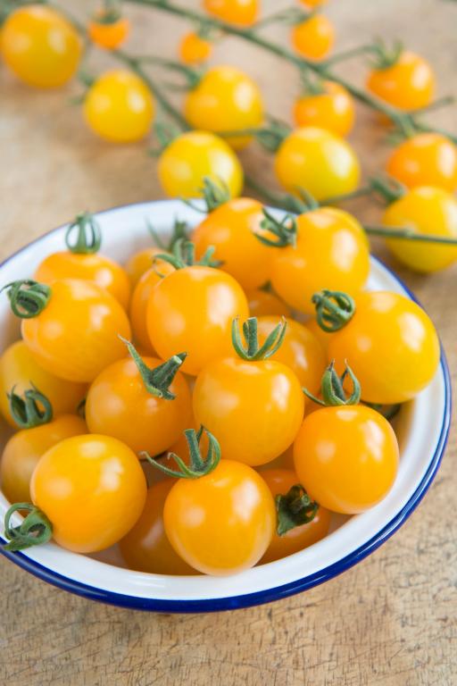 Tomato, Cherry, 'Yellow Mimi', F1 Hybrid
