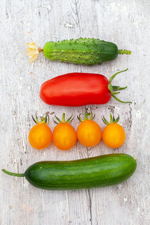 Bargain Basement, Veg/Herbs