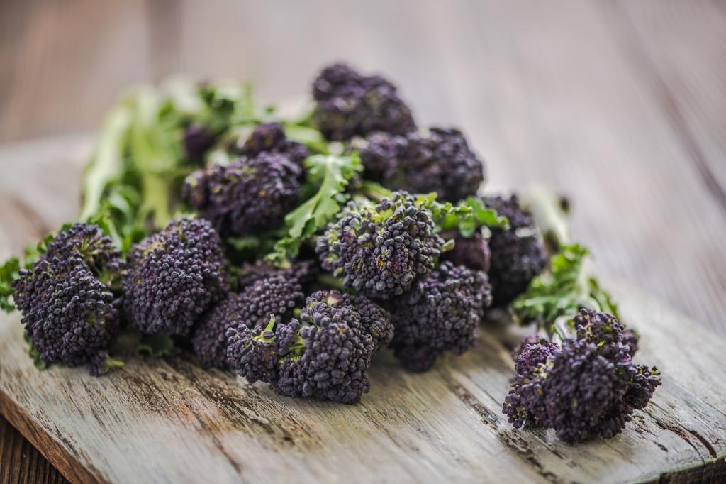 Broccoli, 'Summer Purple'