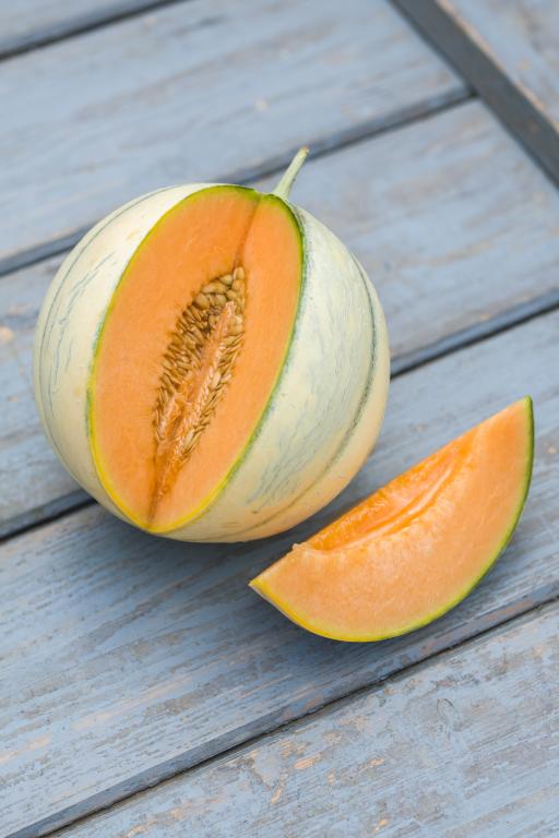 Melon, 'Alvaro', F1 Hybrid