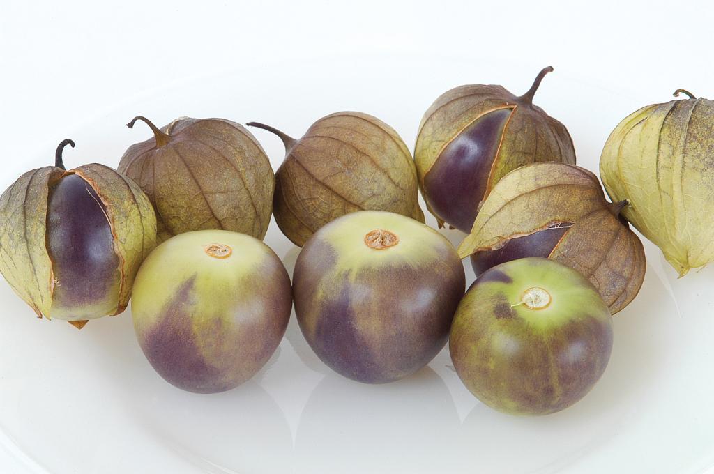 Tomatillo, 'De Milpa'