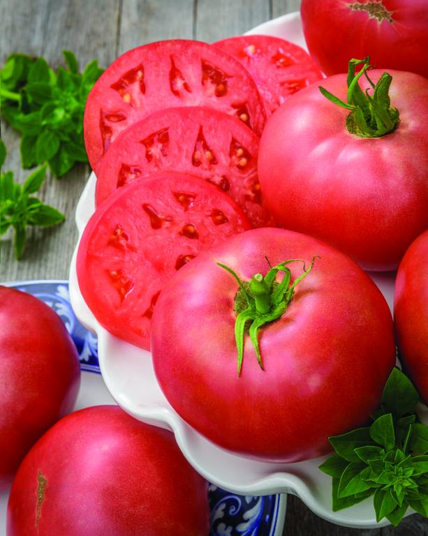 Tomato, Beef, 'Rose Crush', F1 Hybrid