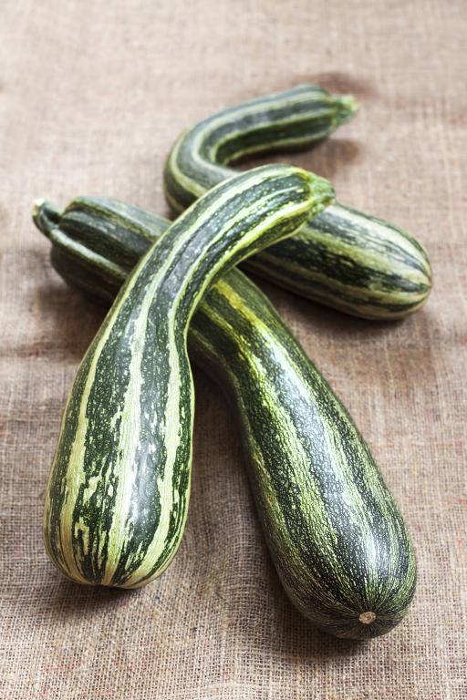 Courgette, 'Striato d'Italia'
