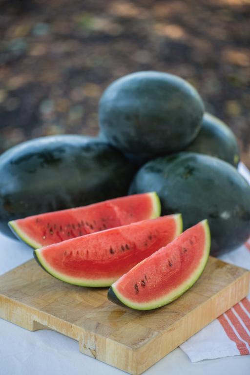 Watermelon, 'Little Darling', F1 Hybrid