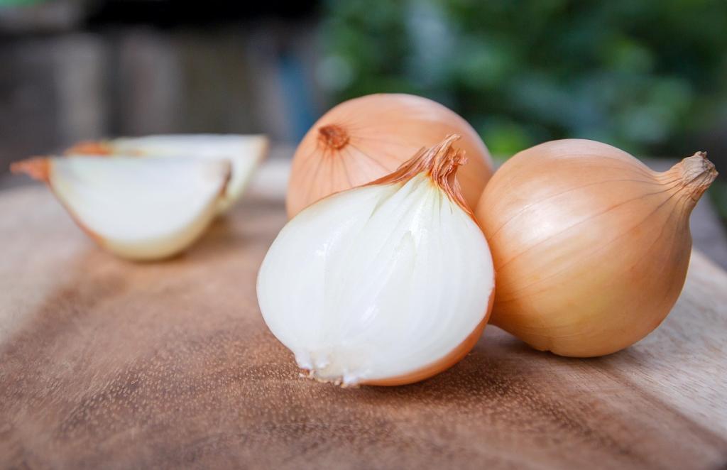 Onion, Maincrop, 'Bonus', F1 Hybrid