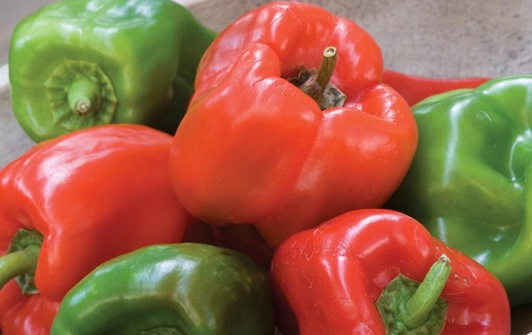 Capsicum, Sweet Pepper, 'Crispy'
