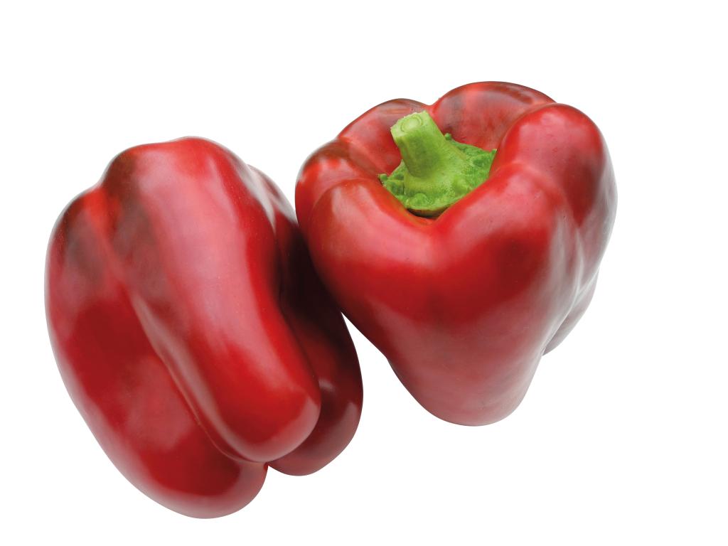 Capsicum, Sweet Pepper, 'Patrizio', F1 Hybrid