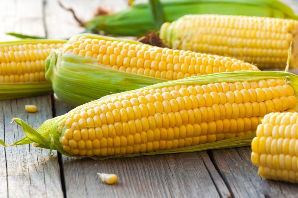 Sweetcorn, 'Golden Bantam'