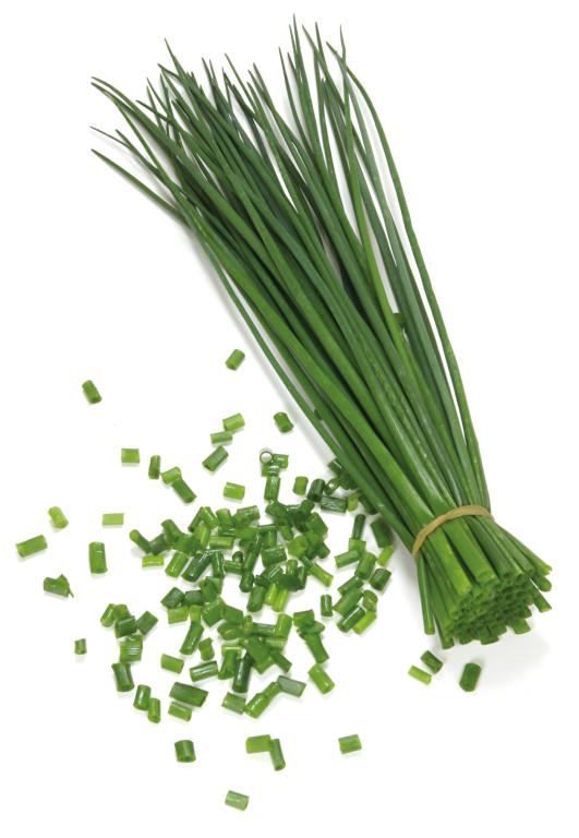 Chives, 'Polyvit'