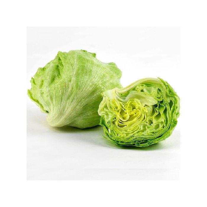 Lettuce, Iceberg & Crisp, 'Iceberg'
