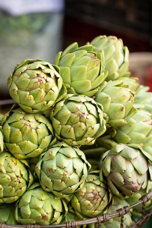 Artichoke, 'Gros Vert de Laon'