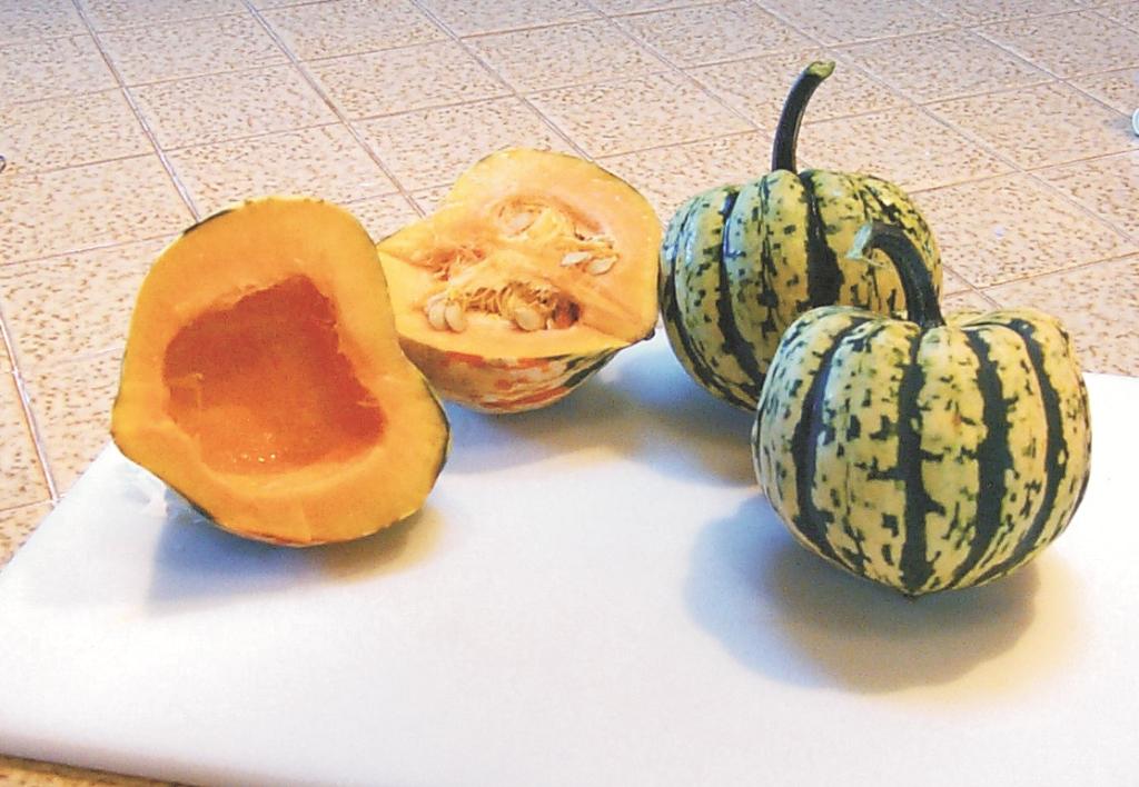 Squash, 'Harlequin', F1 Hybrid