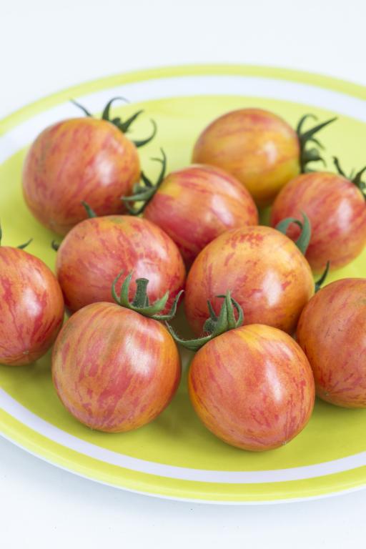 Tomato, Cherry, 'Artisan' Series, 'Artisan Pink Bumble Bee'