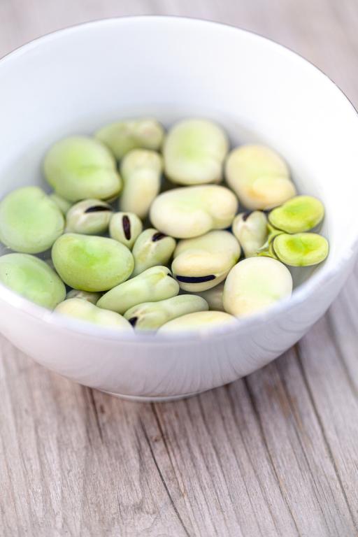 Bean, Broad, 'Giant Exhibition Longpod'