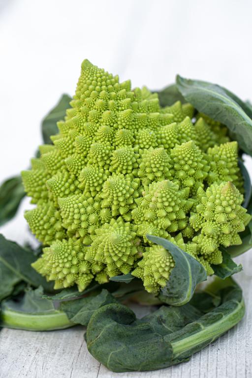 Cauliflower, 'Early Romanesco'