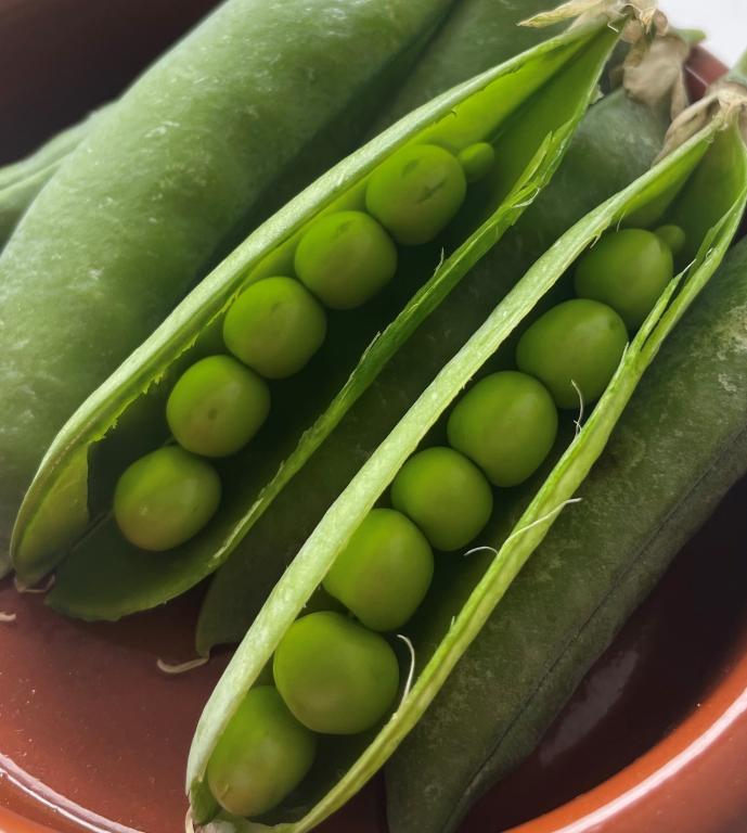 Pea, 'Onward'