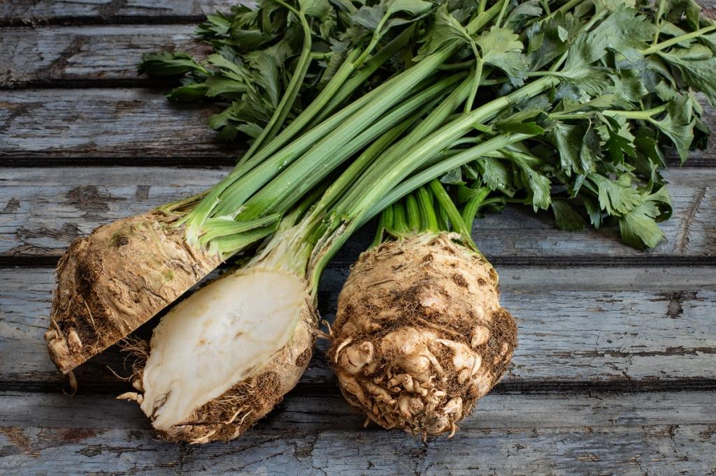 Celeriac, 'Giant Prague'