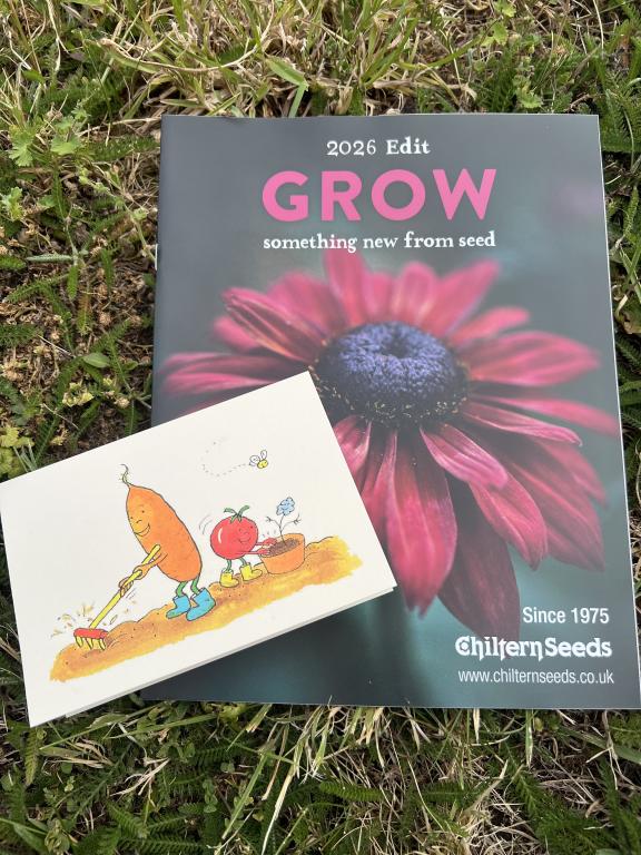 £10.00 Gift Voucher