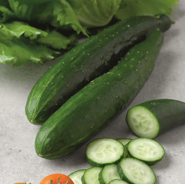 Cucumber, 'Burpless Tasty Green', F1 Hybrid