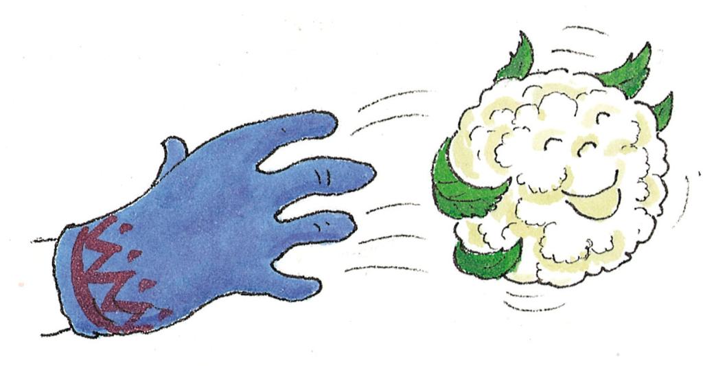 Cauliflower, 'Snowball'