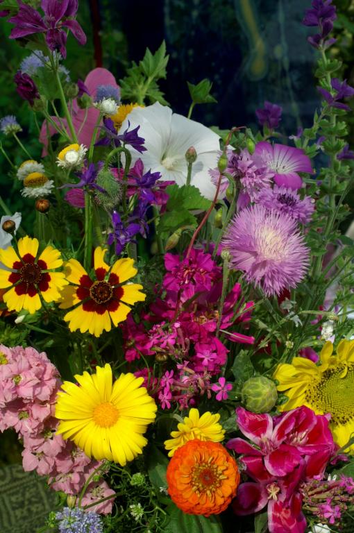 Special Cut Flowers