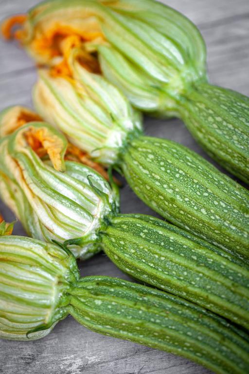 Courgette, 'Costata Romanesco'