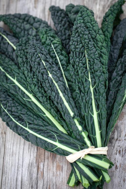 Kale, Cavolo Nero, 'Nero de Toscana'
