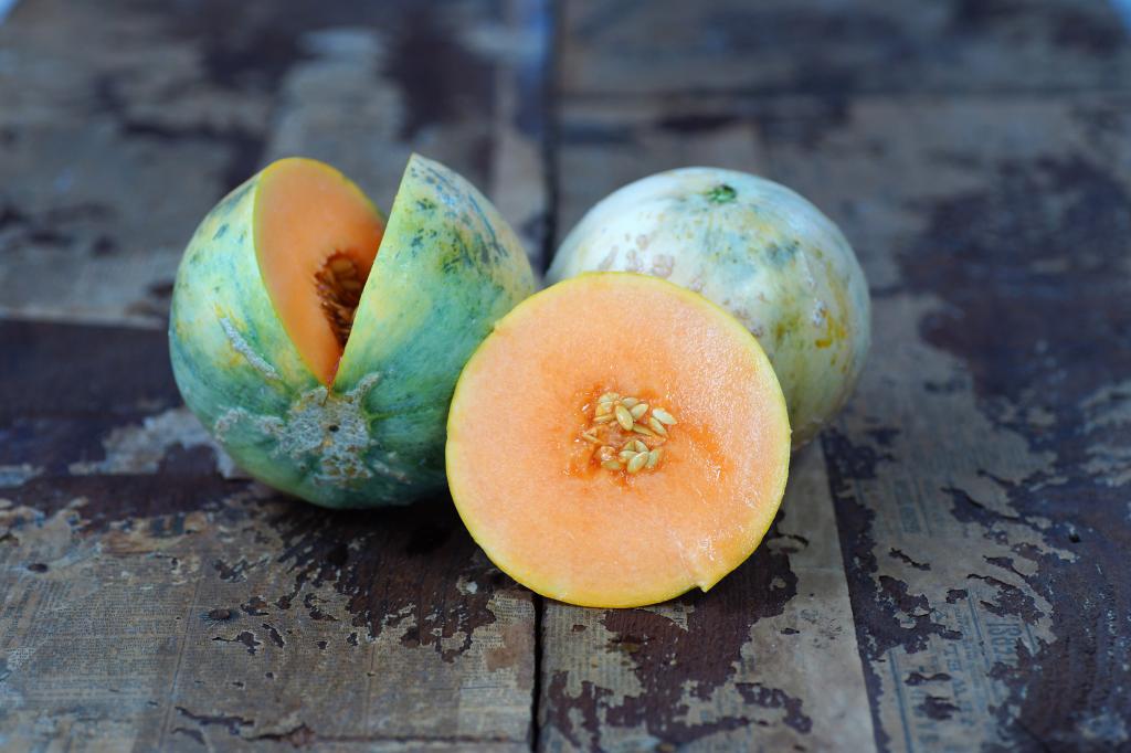 Melon, 'Charentais'