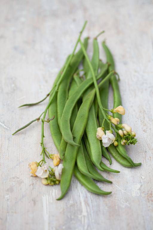 Bean, Runner, 'White Lady'