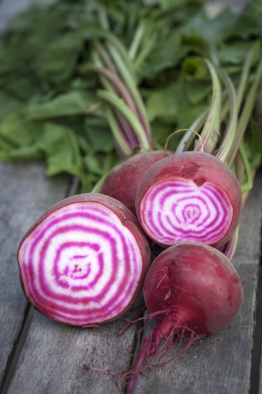 Beetroot, 'Chioggia'